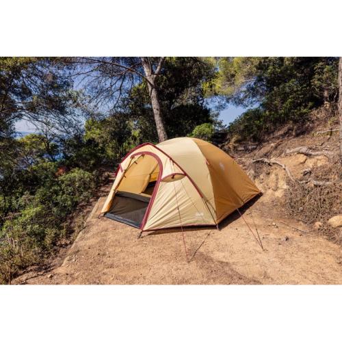 COLEMAN DARWIN SUMMER 4 PLUS MOD. 2227926 EAN 3138522137113