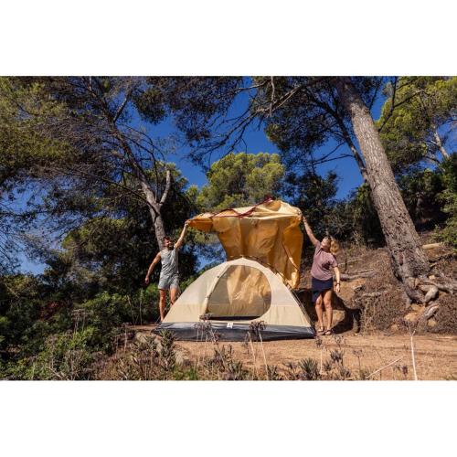 COLEMAN DARWIN SUMMER 4 PLUS MOD. 2227926 EAN 3138522137113