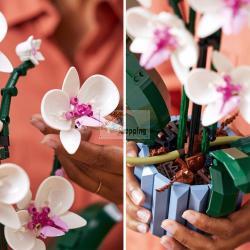 LEGO CREATOR EXPERT 10311 ORCHIDEA MOD. 10311 EAN 5702017224336