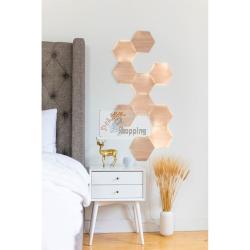 NANOLEAF ELEMENTS WOOD LOOK HEXAGONS EXPANSION PACK - 3PK MOD. NL52-E-0001HB-3PK EAN 0840102701661
