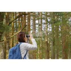 PENTAX JUPITER 8X40 MOD. 65911 EAN 0027075304116