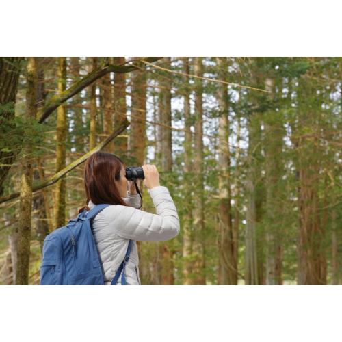 PENTAX JUPITER 8X40 MOD. 65911 EAN 0027075304116