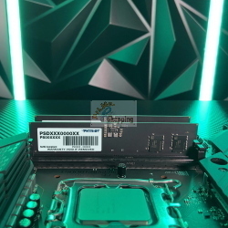Patriot Signature Line UDIMM 8GB, DDR5-5600, CL46-46-46-90