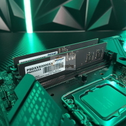 Patriot Signature Line UDIMM 8GB, DDR5-5600, CL46-46-46-90