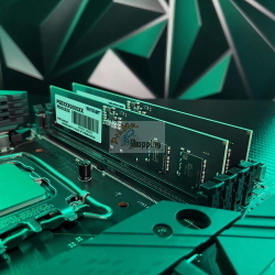 Patriot Signature Line UDIMM 8GB, DDR5-5600, CL46-46-46-90