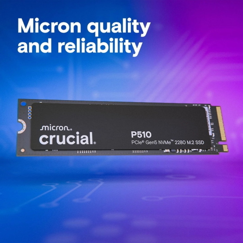 Crucial P510 SSD 2TB M.2 2280 M-Key PCIe 5.0 x4 dissipatore