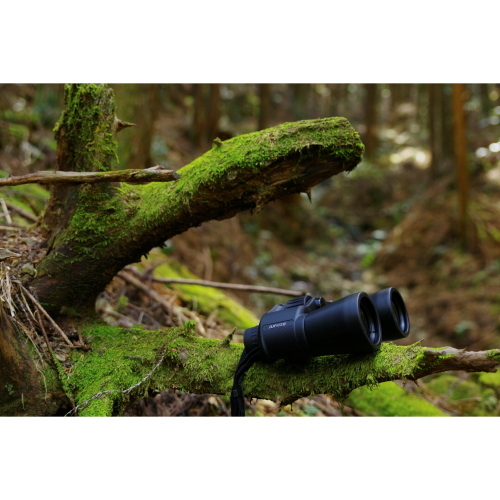 Il Pentax Jupiter binocolo 16x 50 mm