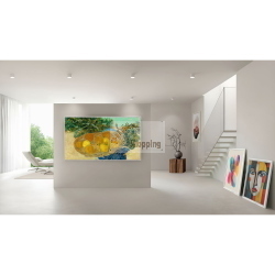 LG 55LX7B6LA.AEEQ televisore 55 pollici