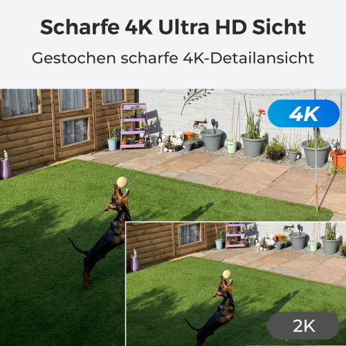 Reolink P330 telecamera IP PoE 4K per videosorveglianza