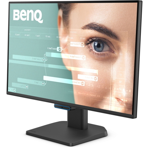 BenQ BL2490C 9H.LP5LB.QBE monitor/display