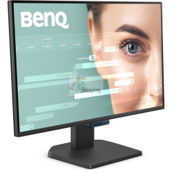 BenQ BL2490C 9H.LP5LB.QBE monitor/display