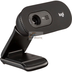 Logitech C505E 960-001372 fotocamera/accessorio video