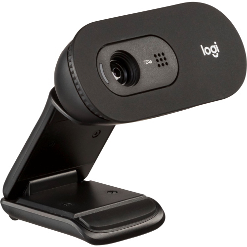 Logitech C505E 960-001372 fotocamera/accessorio video