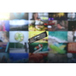 Kingston FURY Renegade 8TB SSD M.2 NVMe PCIe 5.0 SFYR2D/8T1