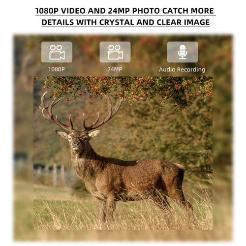 STEALTH GEAR HEDGEHOG 1080P 4G WILDLIFE CAMERA MOD. 720132 EAN 8718127036162