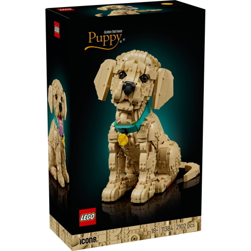 LEGO ICONS 11384 GOLDEN RETRIEVER WELPE MOD. 11384 EAN 5702018063651