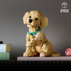 LEGO ICONS 11384 GOLDEN RETRIEVER WELPE MOD. 11384 EAN 5702018063651
