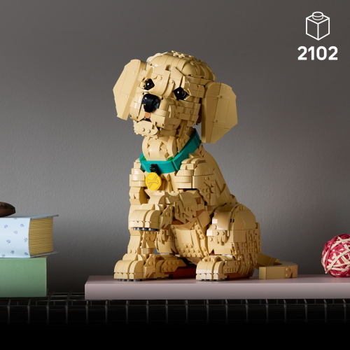 LEGO ICONS 11384 GOLDEN RETRIEVER WELPE MOD. 11384 EAN 5702018063651