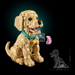 LEGO ICONS 11384 GOLDEN RETRIEVER WELPE MOD. 11384 EAN 5702018063651