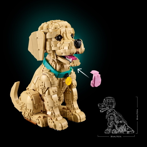 LEGO ICONS 11384 GOLDEN RETRIEVER WELPE MOD. 11384 EAN 5702018063651