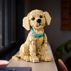 LEGO ICONS 11384 GOLDEN RETRIEVER WELPE MOD. 11384 EAN 5702018063651