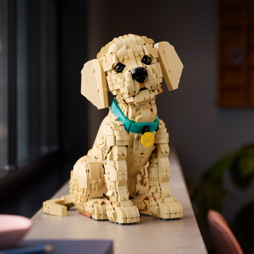 LEGO ICONS 11384 GOLDEN RETRIEVER WELPE MOD. 11384 EAN 5702018063651