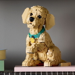 LEGO ICONS 11384 GOLDEN RETRIEVER WELPE MOD. 11384 EAN 5702018063651