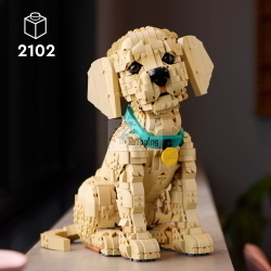 LEGO ICONS 11384 GOLDEN RETRIEVER WELPE MOD. 11384 EAN 5702018063651