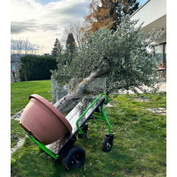 ZIPPER ZI-ET260 CARRELLO ELETTRICO MOD. ZI-ET260 EAN 9120039234984