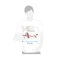 CARSON STINGER 2.0 2,4G 100% RTF MOD. 500505038 EAN 4005299017384