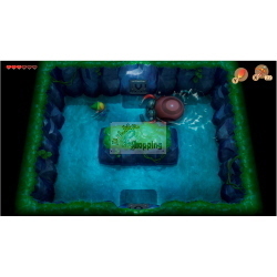 NINTENDO SWITCH THE LEGEND OF ZELDA LINK'S AWAKENING MOD. 10002020 EAN 0045496424428
