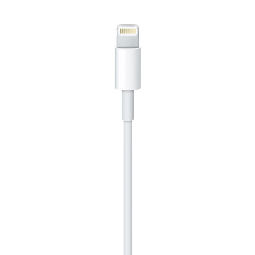 Apple Cavo USB-A a Lightning 2 m bianco MD819ZM/A