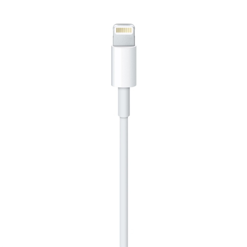 Apple Cavo USB-A a Lightning 1 m bianco MXLY2ZM/A