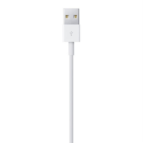 Apple Cavo USB-A a Lightning 1 m bianco MXLY2ZM/A