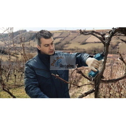 Bosch Professional Pro Pruner 06019K1020 cesoia da potatura 12 V per rami fino a 25 mm