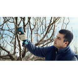 Bosch Professional Pro Pruner 06019K1020 cesoia da potatura 12 V per rami fino a 25 mm