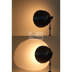 Nanlite SB-RP120 softbox parabolico Rapid 120 cm con attacco Bowens e griglia